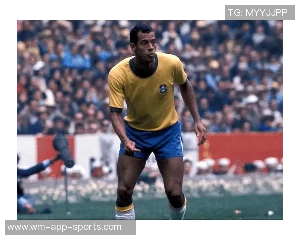 足坛传奇巨星陨落一生辉煌瞬间永存绿茵场